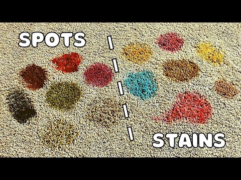 How to Remove Any Carpet Spot or Stain (in Two Steps or Less!)