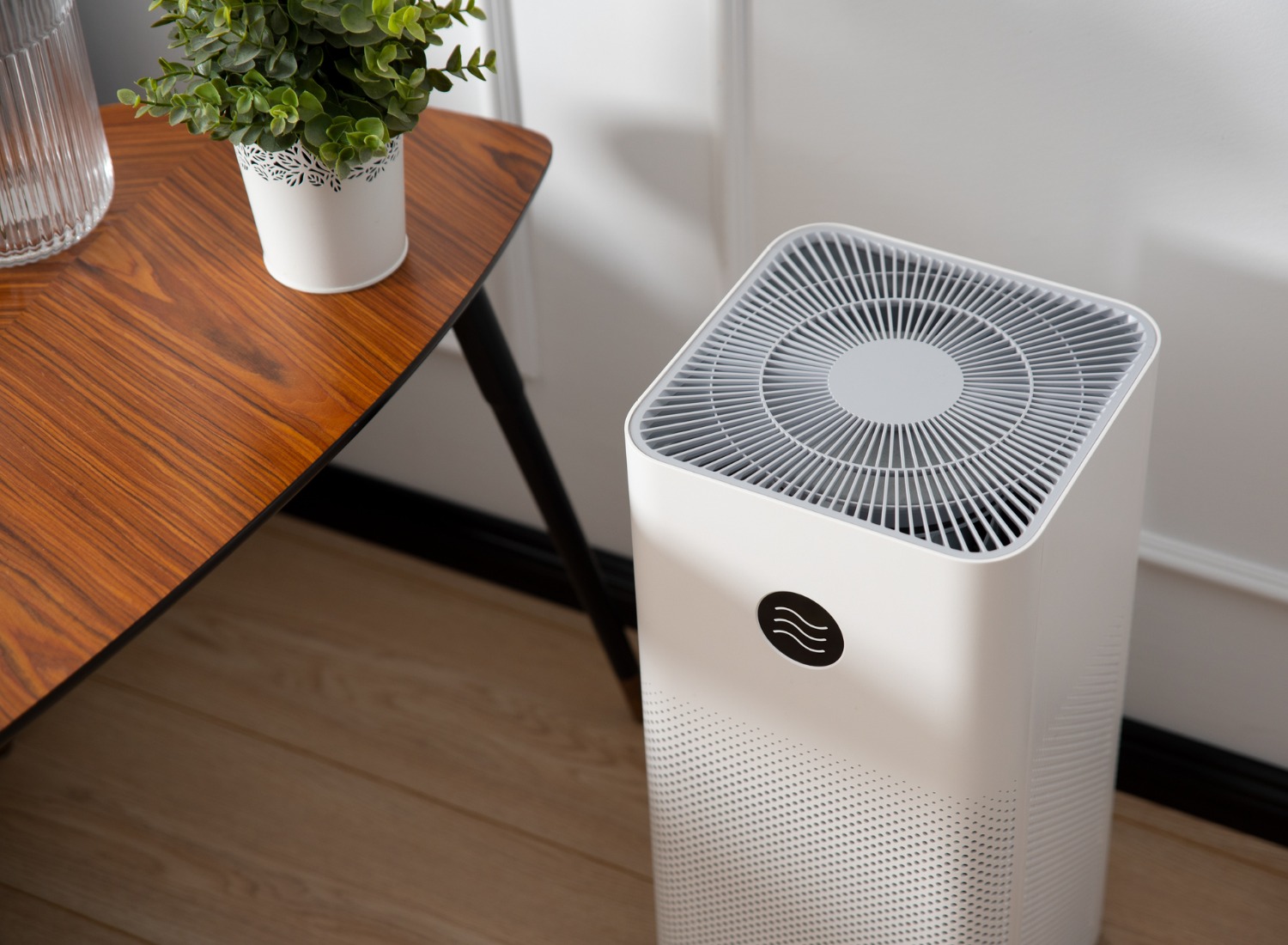 Myth or Fact: Do Air Purifiers Help With Smell? | Best Buy Guidebook