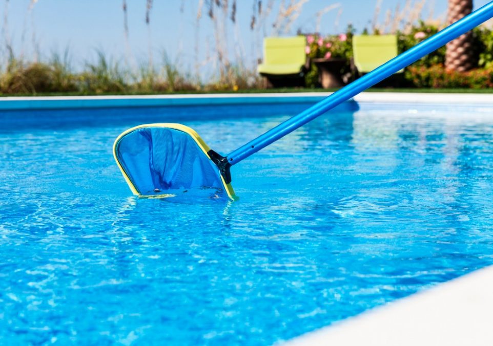 best pool net skimmer