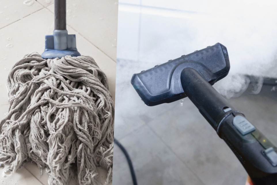 steam cleaner vs regular mop