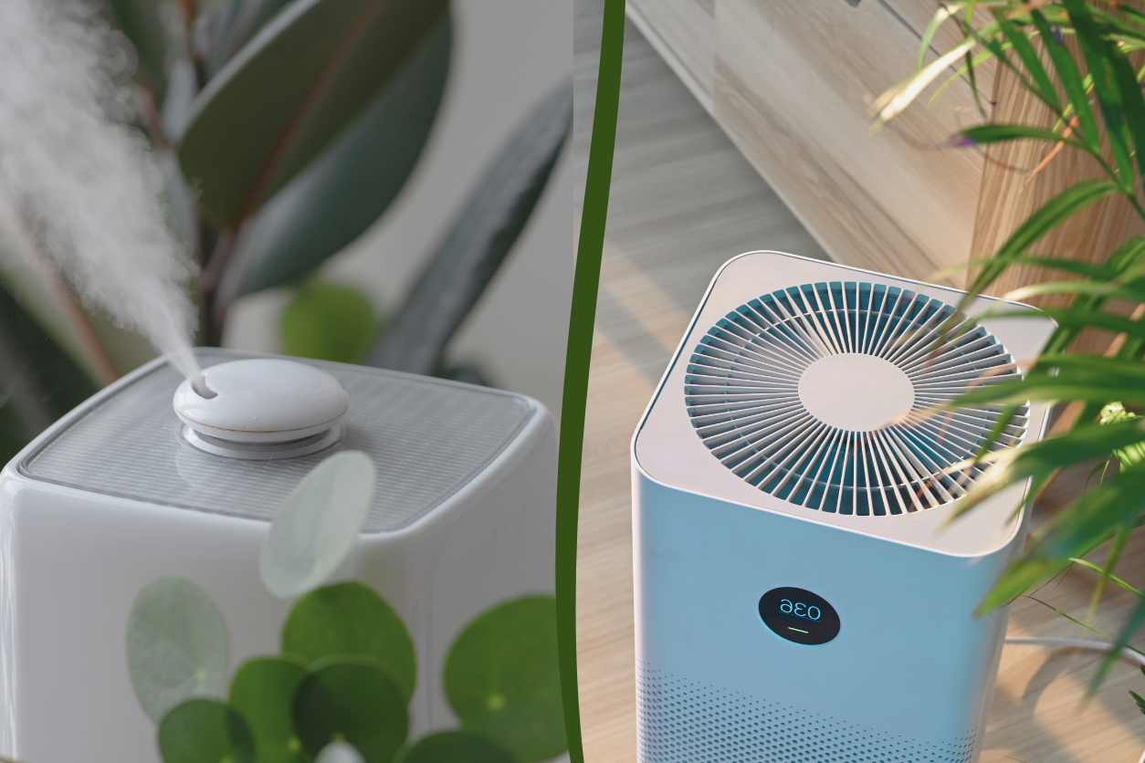 air purifier vs dehumidifer