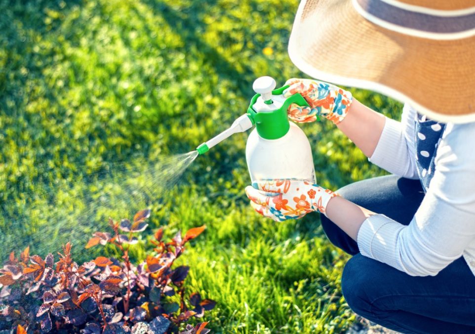 best garden sprayer