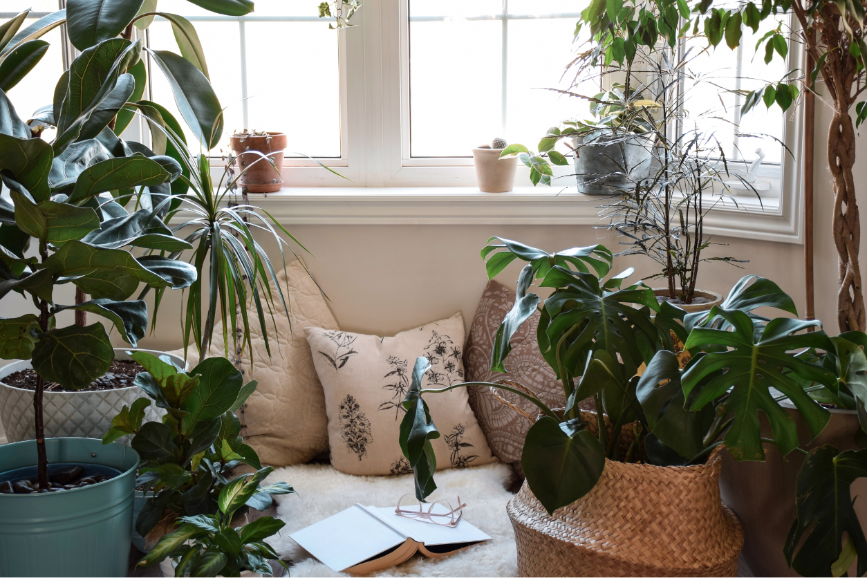 cozy book nook