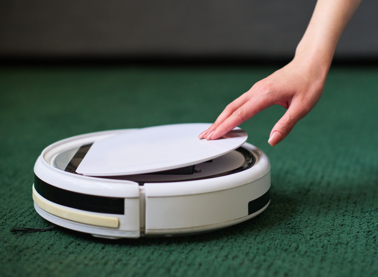 The Best Robot Vacuums