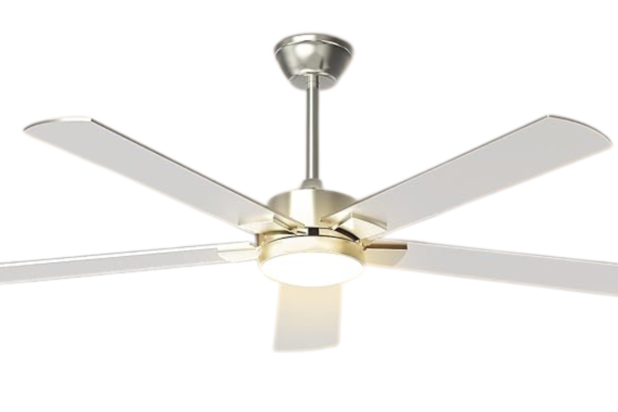 Hisummer Ceiling Fan