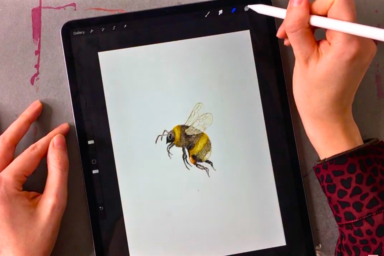 How to Digitize Artwork