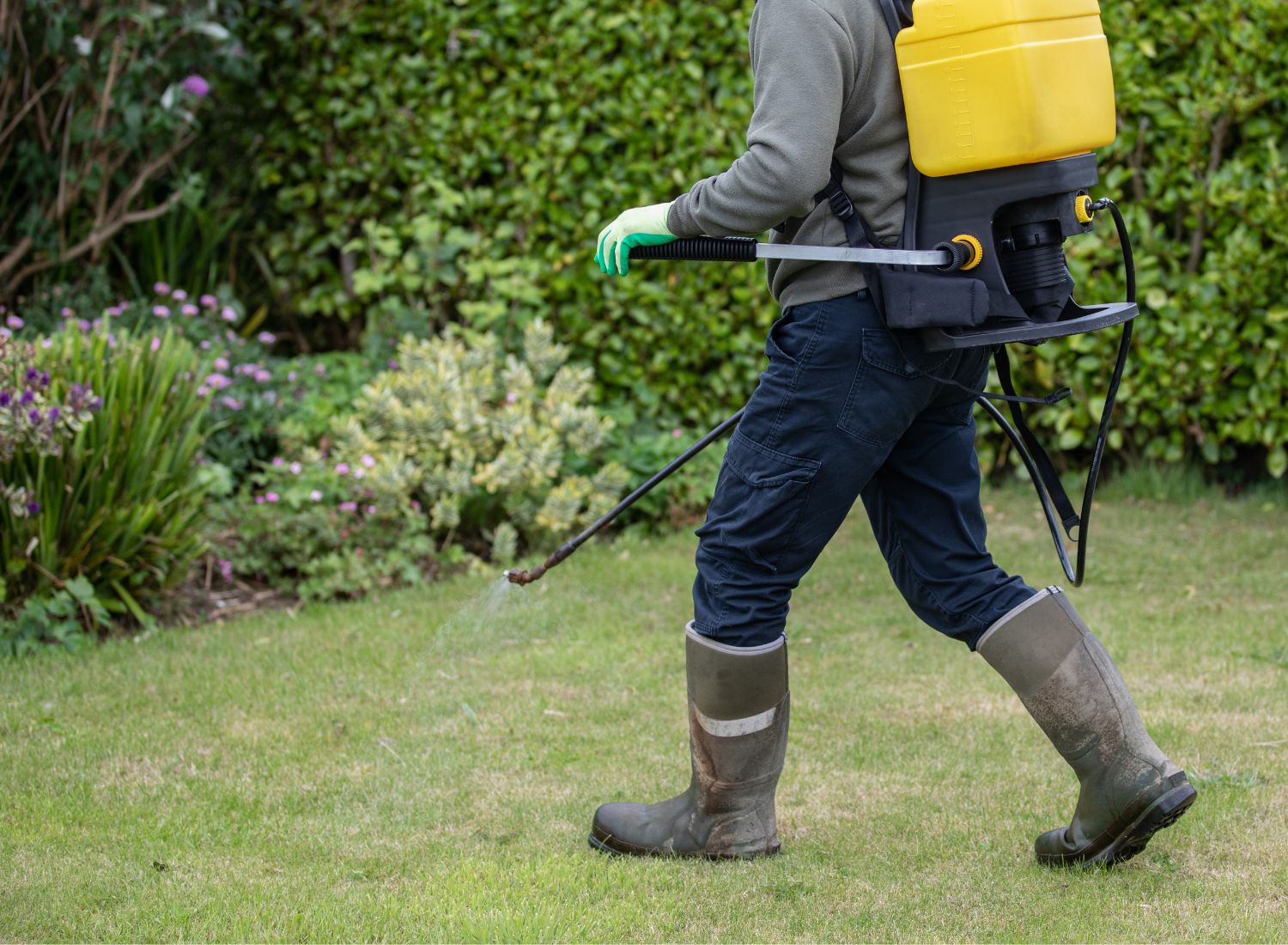 The Best Backpack Sprayers