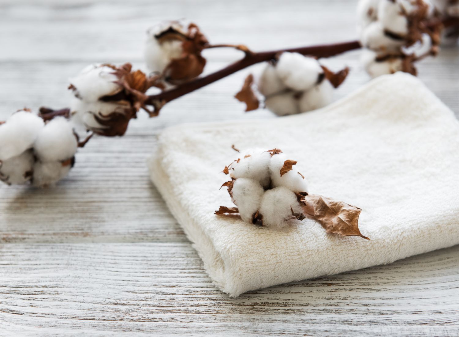 The Best Cotton Towels