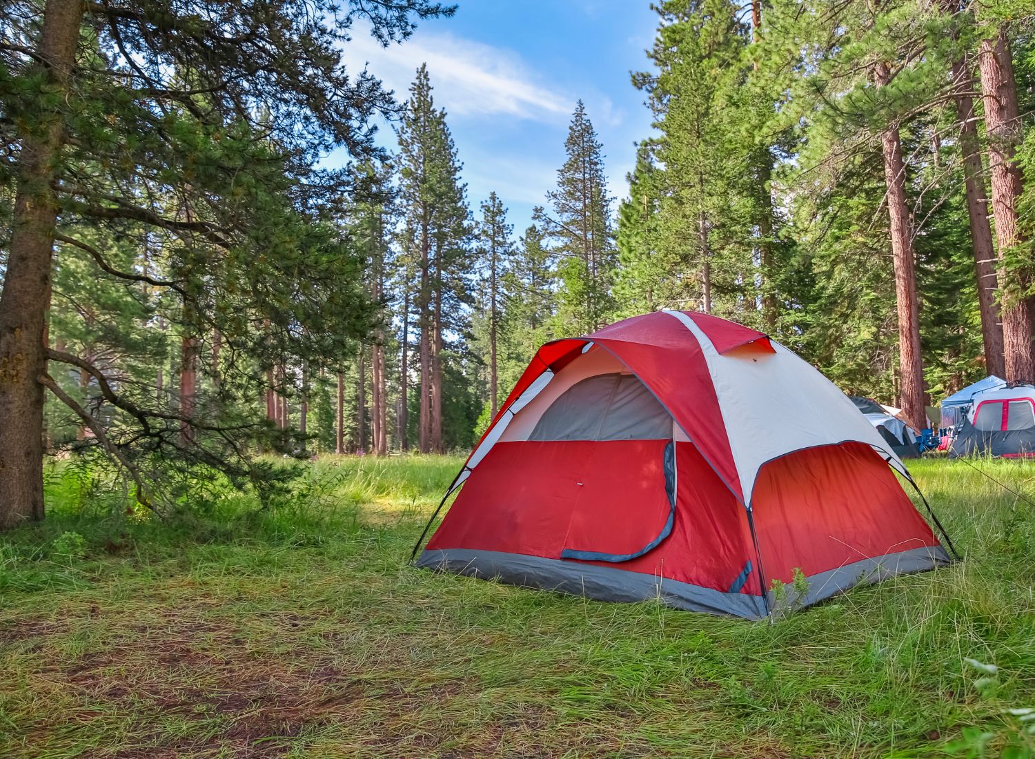 The Best Instant Tents