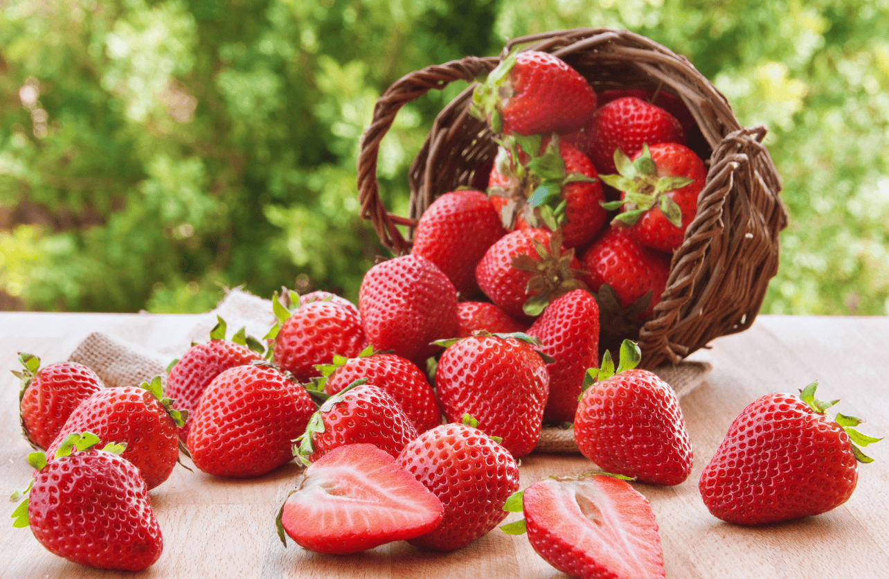 when are strawberries in season