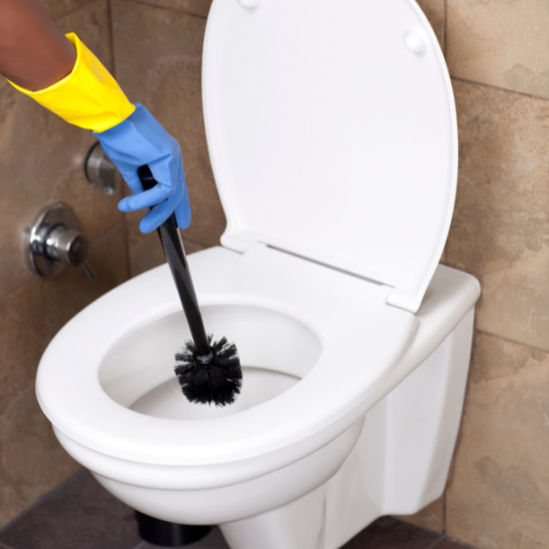 cleaning checklist