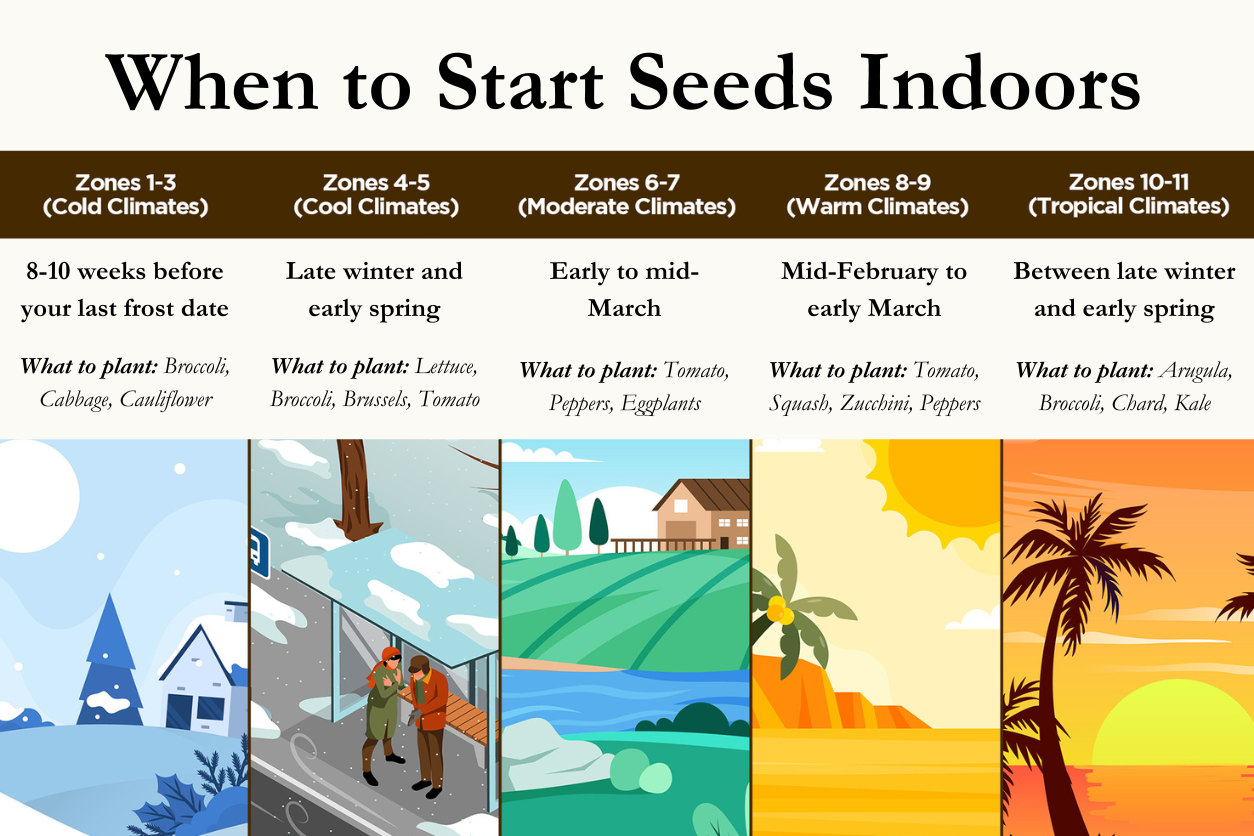 when to start seeds indoors