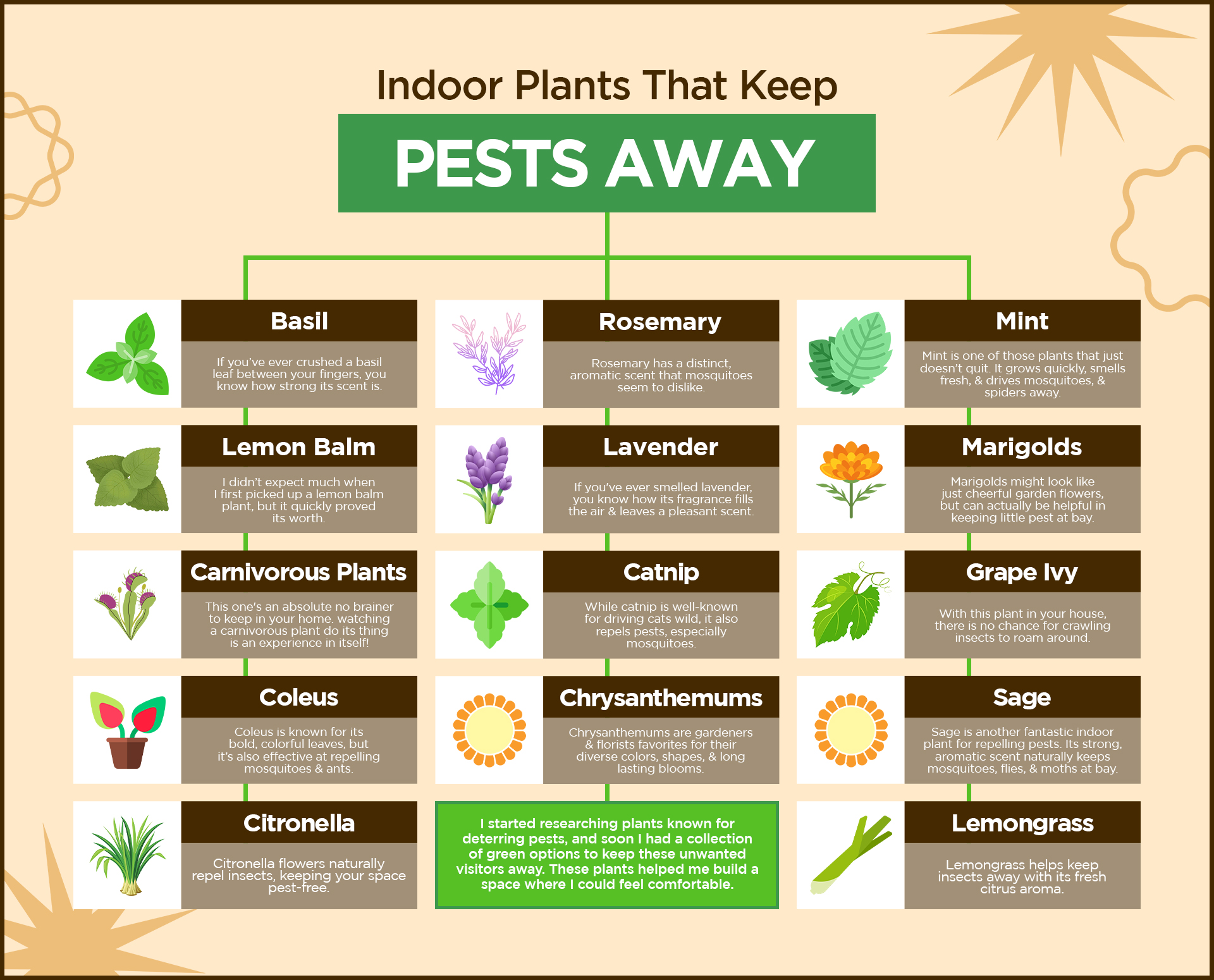 Indoor-Plants-That-Keep-Pests-Away