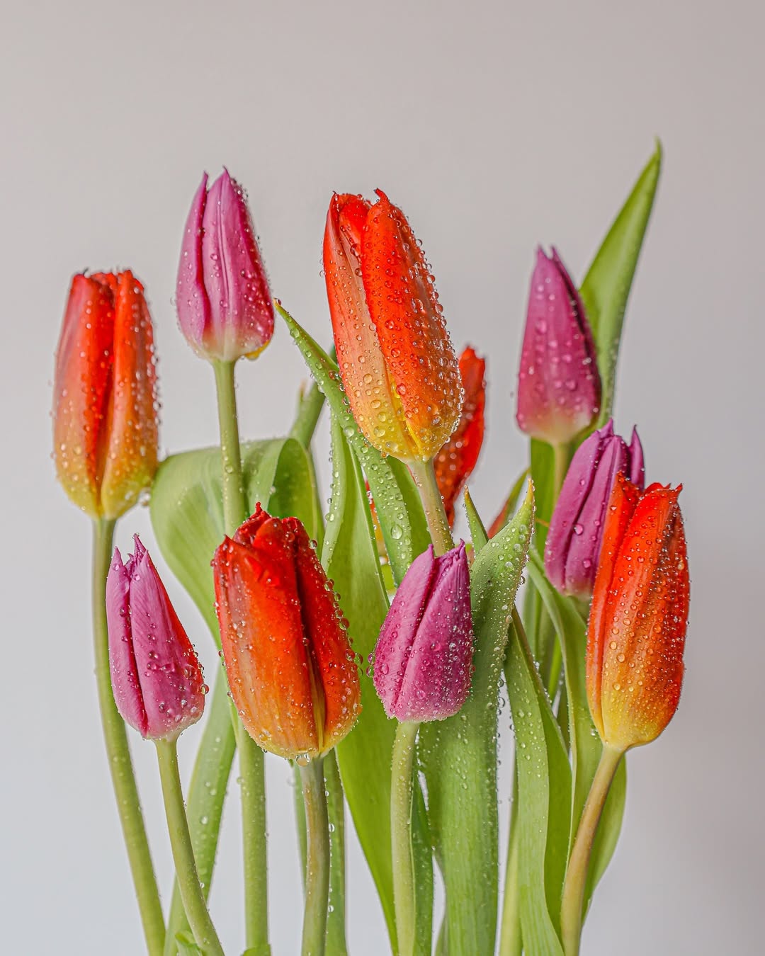 valentine's day flowers