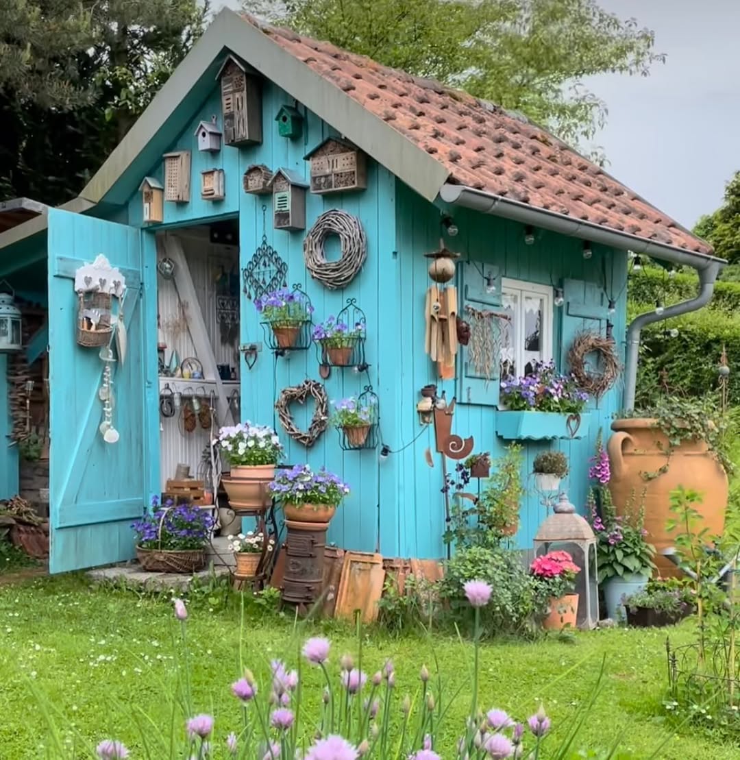 shed storage ideas